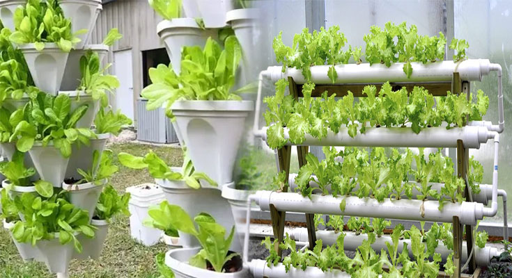 Affordable DIY Hydroponic Gardening Ideas for Indoor Spaces