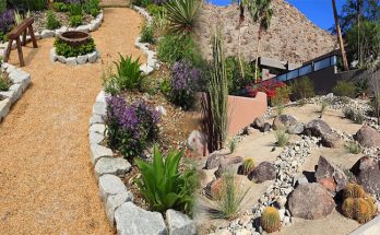 Affordable Drought-Tolerant Plants for Low-Cost Landscaping