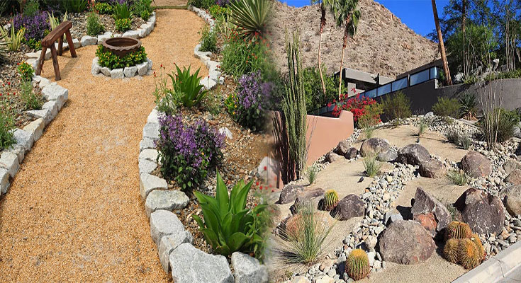 Affordable Drought-Tolerant Plants for Low-Cost Landscaping