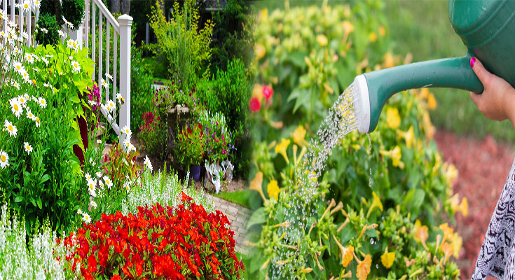 Cost-Effective Native Plants for Eco-Friendly Landscaping