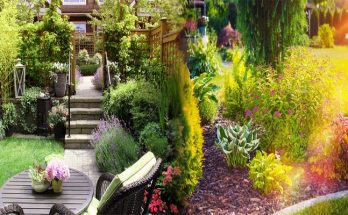 Small Backyard Flower Garden Layout Ideas for Beginners