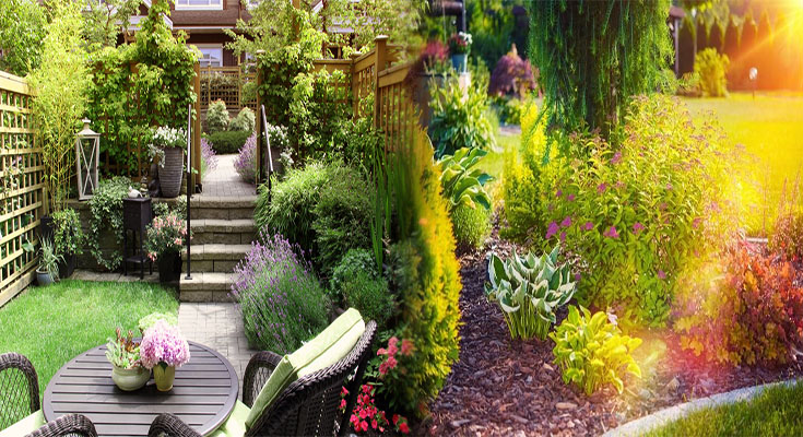 Small Backyard Flower Garden Layout Ideas for Beginners