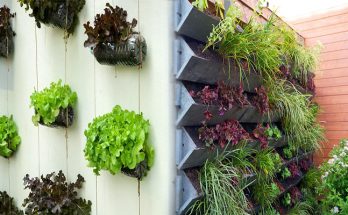 Vertical Flower Garden Designs for Limited Space