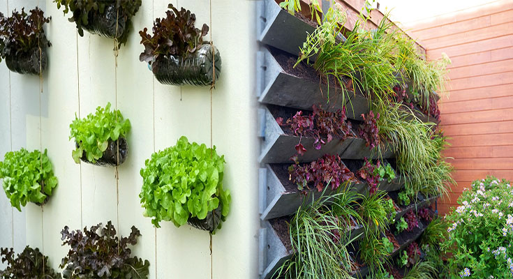 Vertical Flower Garden Designs for Limited Space